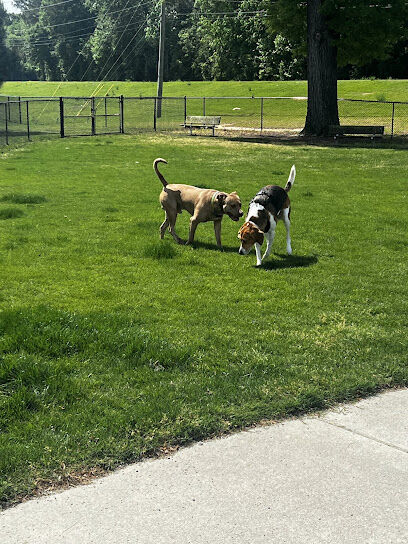 Wilson Dog Park