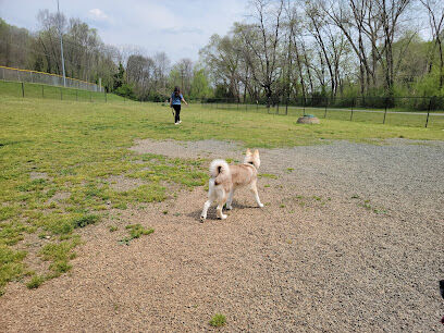 Dog Park at Washington Park