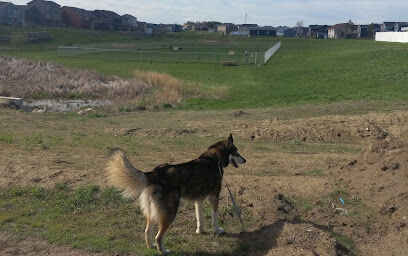 Lincoln Dog Park