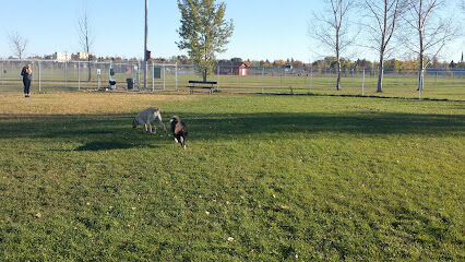 Ruger Dog Park