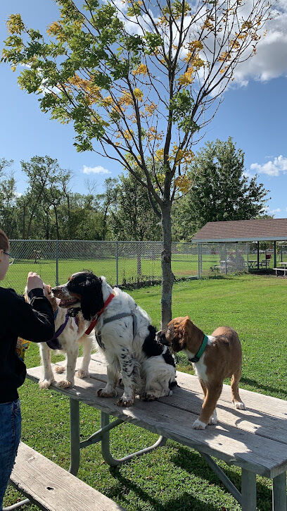 Dog Park | North Fargo Yunker Farm Park