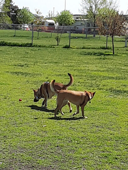 Dog Park | Village West Park