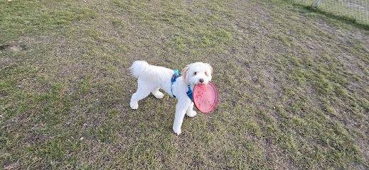 Minot AFB Homes Dog Park