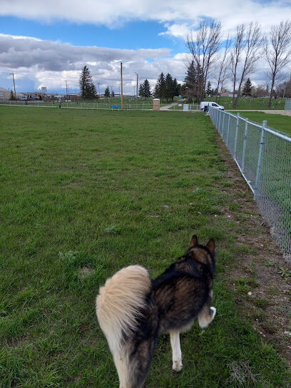 Dog Park
