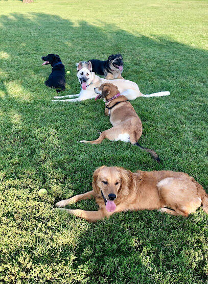 Dog Park
