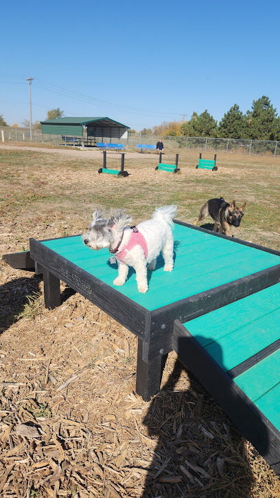 Hastings Dog Park
