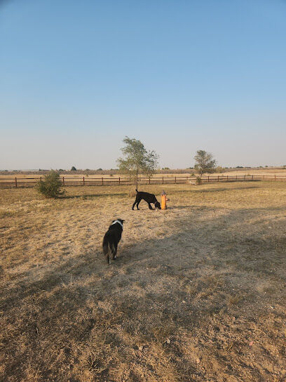 High Point K-9 Park
