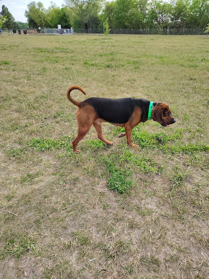 Bowling Lake Dog Park