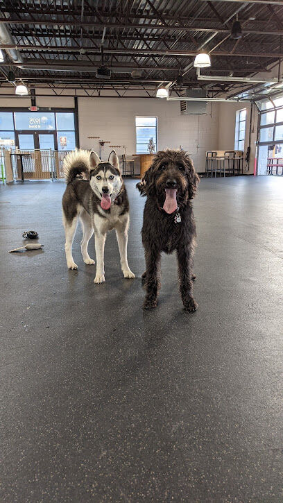 Off Leash Dog Bar