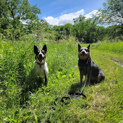 Parking Lot - Holmes Lake Dog Park