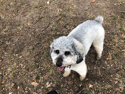 Wildwood Dog Park
