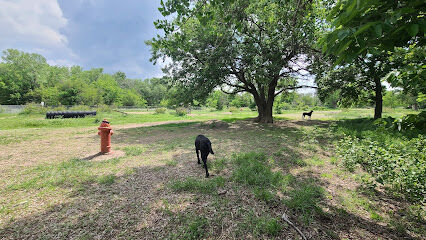 Waggin’ Tails Bark Park