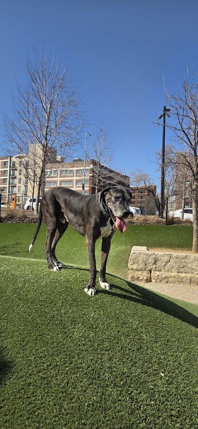 Gene Leahy Dog Park