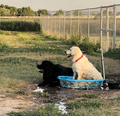 Common Grounds Dog Park