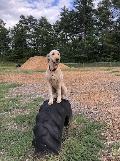 Ossipee Dog Park