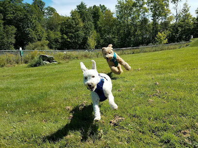Shaker Field Dog Park