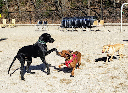 Hooksett Dog Park