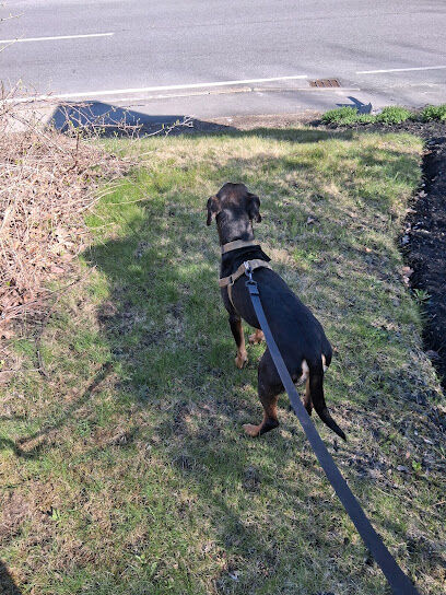 Benson Dog Park