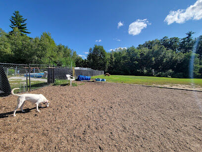 Friend Lee Pets Dog Park