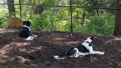 Nashua Dog Park - Membership Required