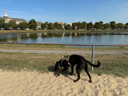 Portsmouth Dog Park
