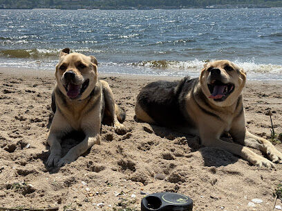 Asbury Park Dog Beach