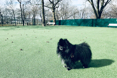 Dog Run