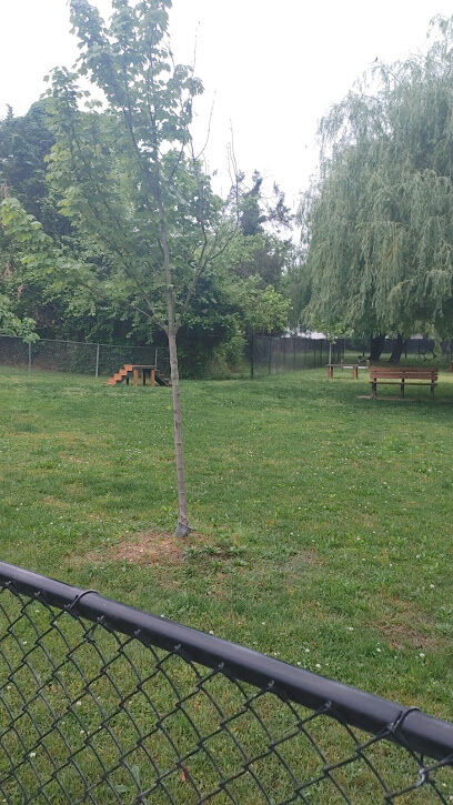 Borough of Bellmawr Dog Park