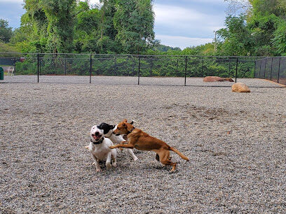 Bergenfield Dog Park