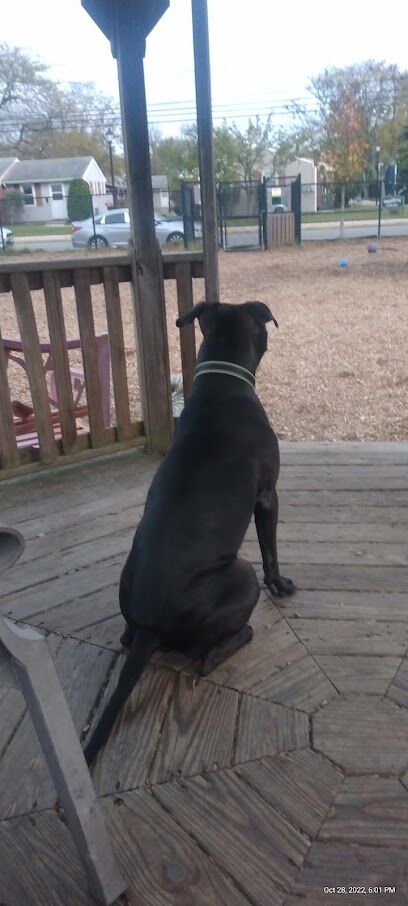 Cape May Dog Park