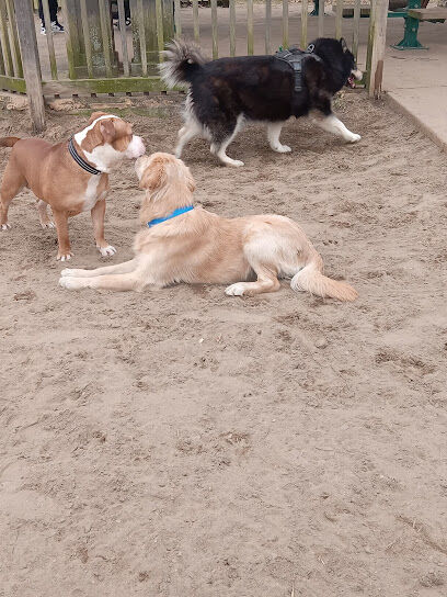 Pennington Park Dog Park