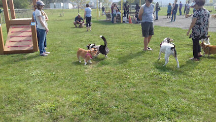 Edison-Metuchen Community Dog Park