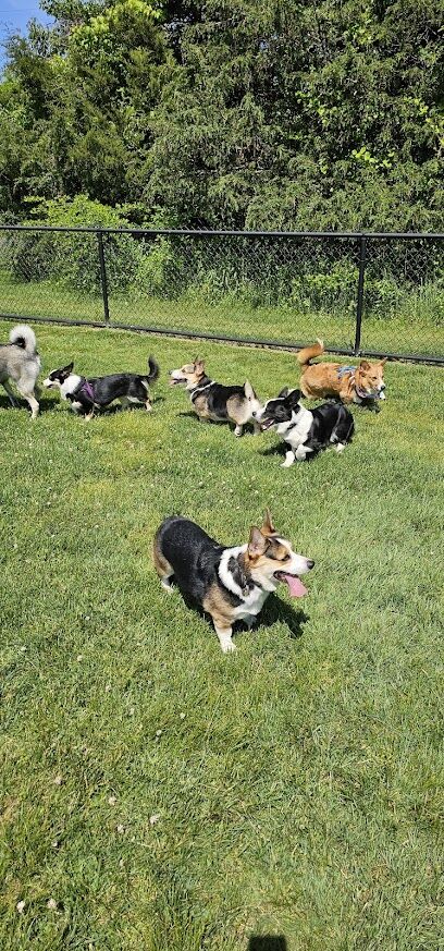 Evesham Township Dog Park