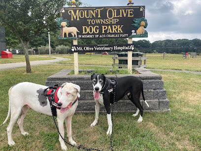 Dog Park at Turkey Brook