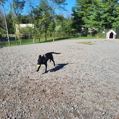 Elm Street Dog Park