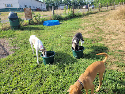 Kingwood Dog Park