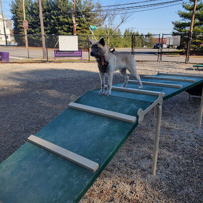Garfield Dog Park