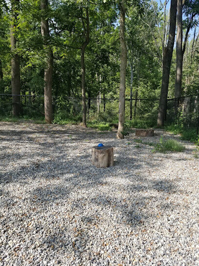 High Bridge Dog Park