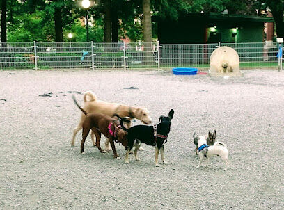 Church Square Park Dog Park