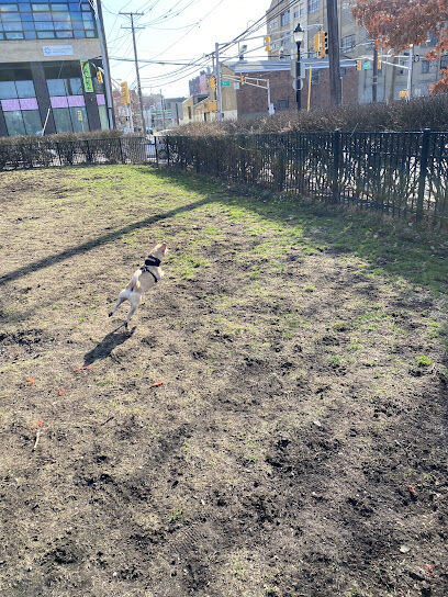 Dog run