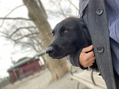 Elysian Park Dog Park