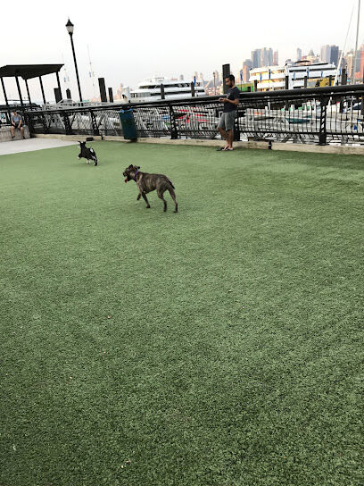 Shipyard Park Dog Park