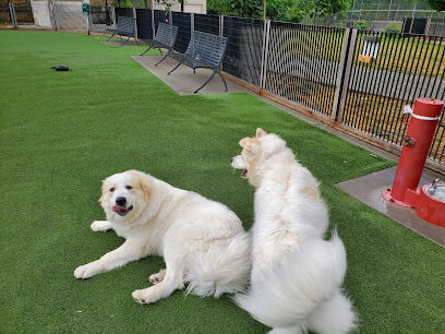Viaduct Park Dog Park