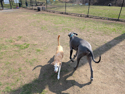 Jefferson Field Dog Park