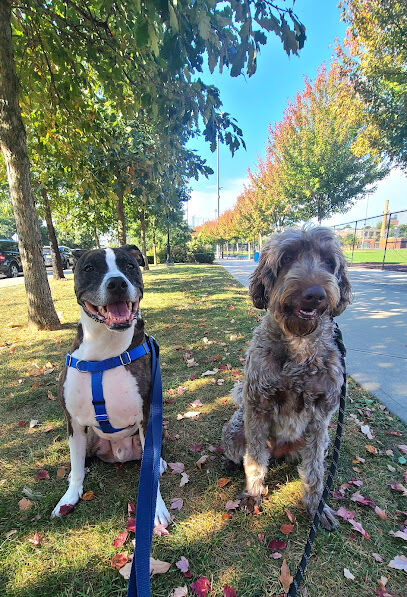 Berry Lane Park Dog Run