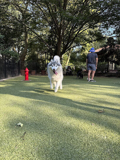 Dog Park