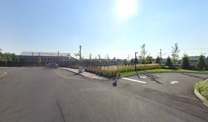 Dog run