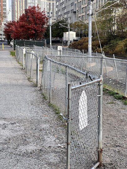 Dog Run