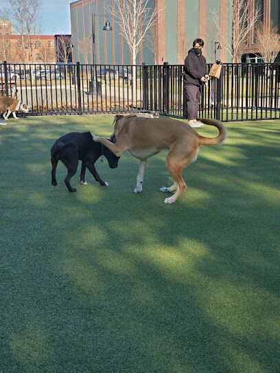 Marin Green Dog Park