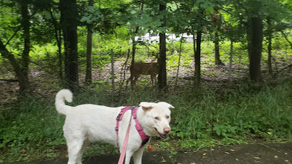 Dudley C Allen Playground & Dog Park